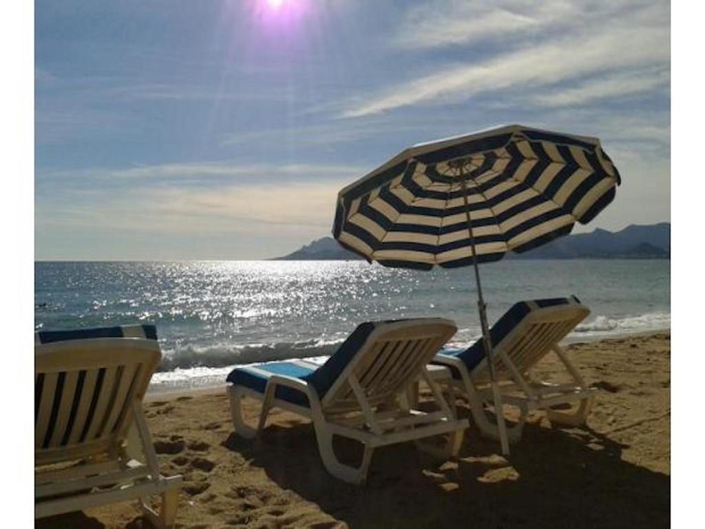 Cannes Front Beach Pools Apartment Exteriör bild